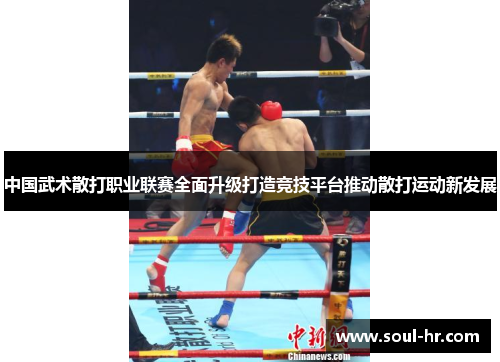 中国武术散打职业联赛全面升级打造竞技平台推动散打运动新发展