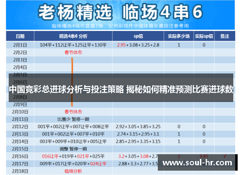 中国竞彩总进球分析与投注策略 揭秘如何精准预测比赛进球数