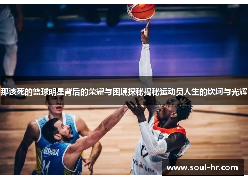 那该死的篮球明星背后的荣耀与困境探秘揭秘运动员人生的坎坷与光辉